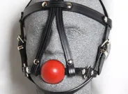 Ball Gag Harness